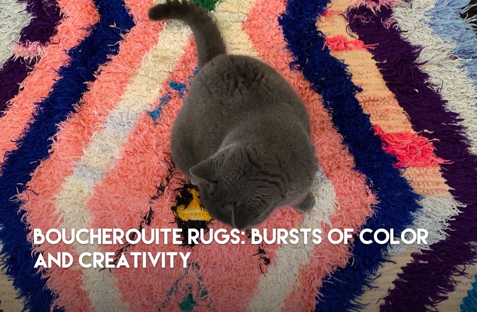 → Boucherouite Rugs