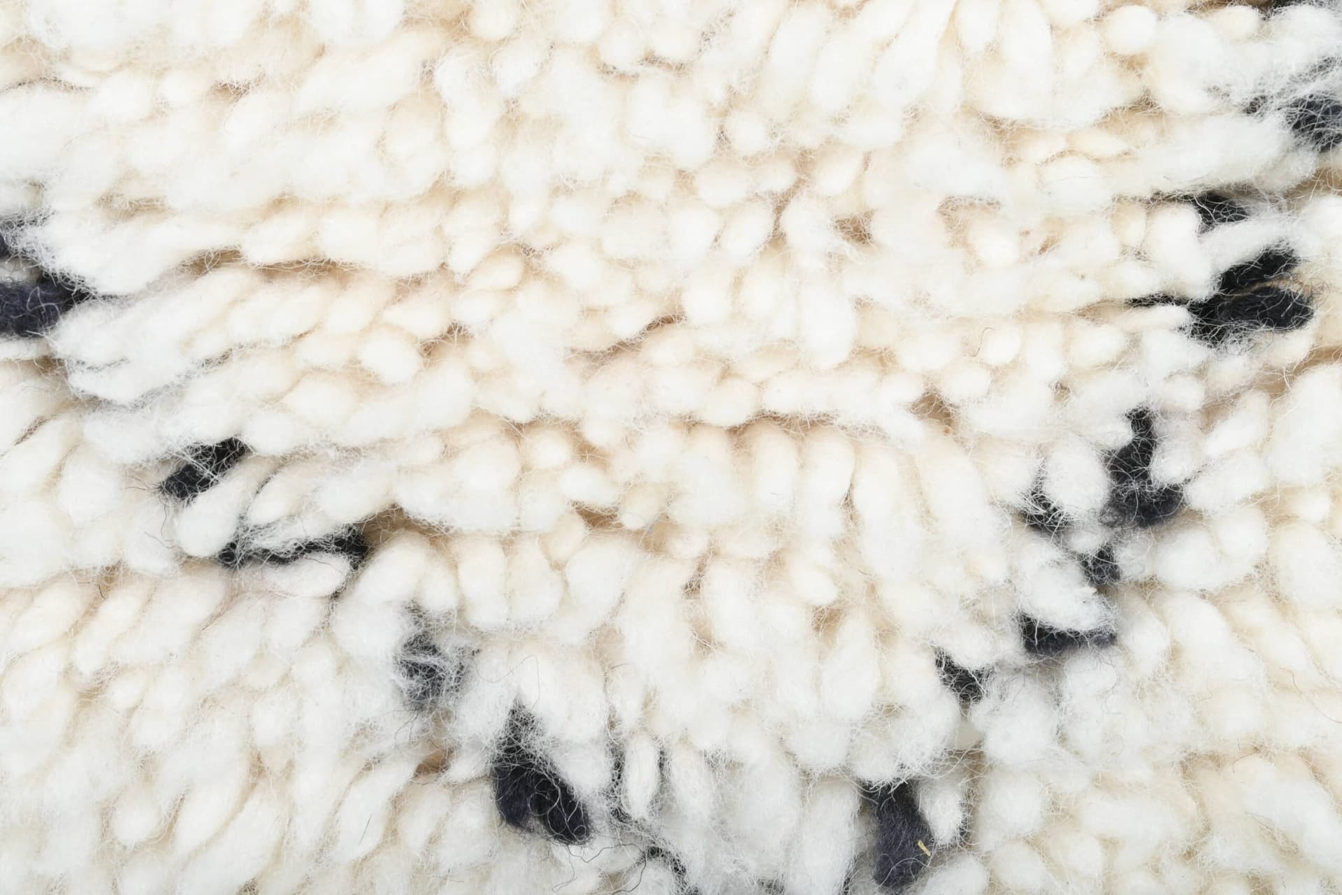 Tapis Marocain Fait Main en Laine 3x4 - Tapis Boho Diamant Noir et Ivoire pour Salon Chambre - Beni Ourain - Image 7