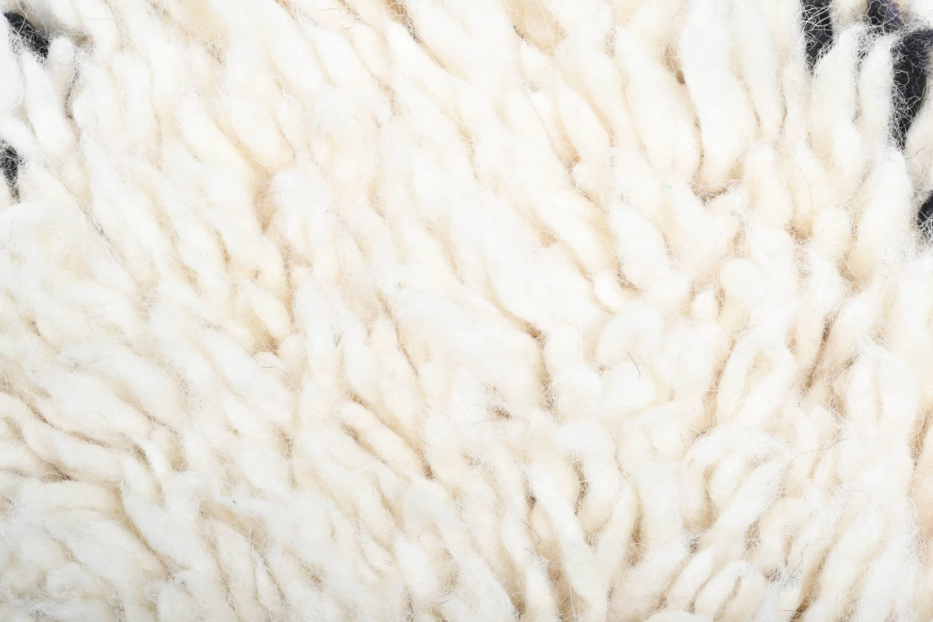 モロッコ製手作りウールラグ 2x4 - アイボリー ブラック ミニマリスト ボヘミアン エリアラグ リビングルーム 寝室用 - ベニ・ウライン - Image 8