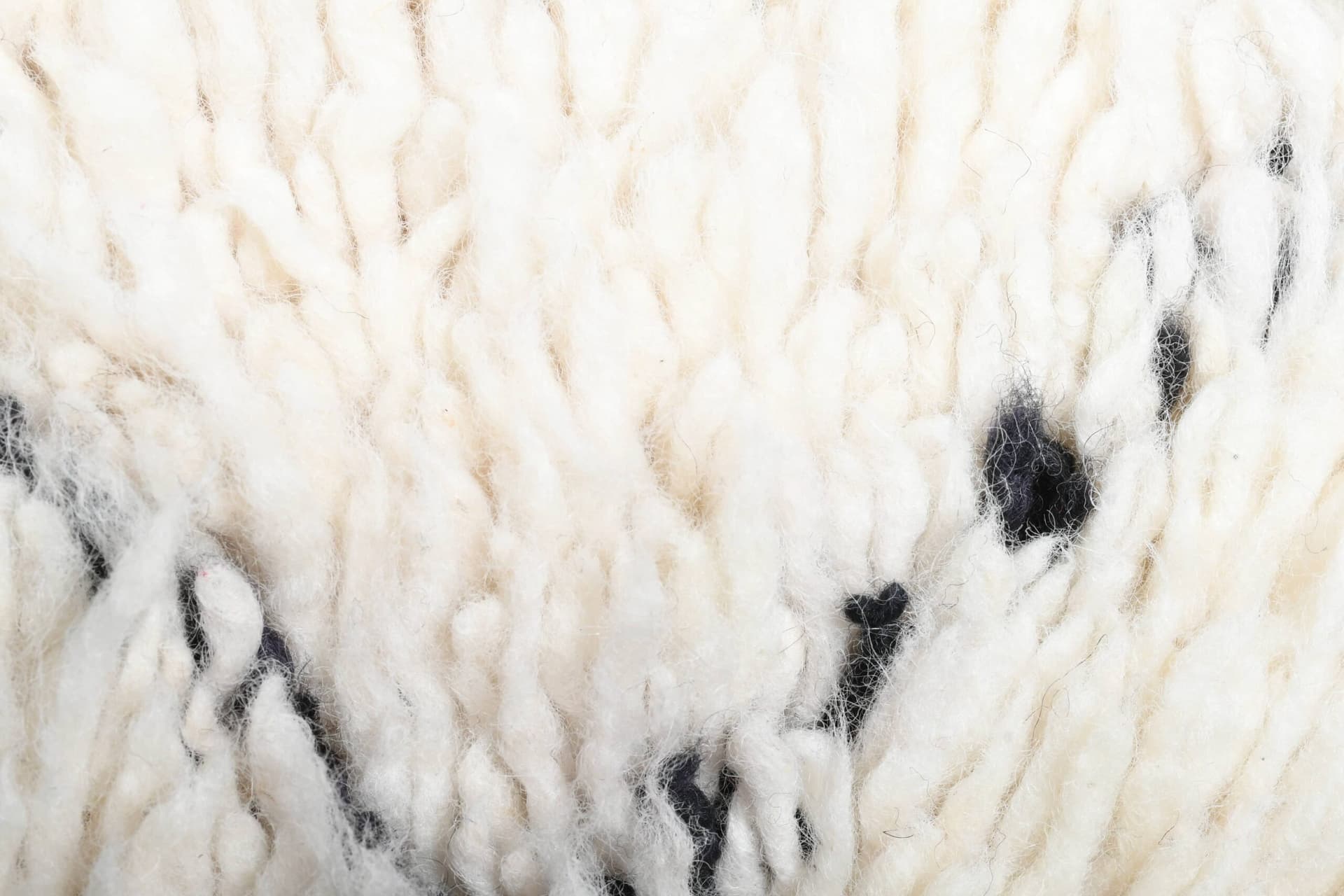 モロッコ製手作りウールラグ 2x4 - アイボリー ブラック ミニマリスト ボヘミアン エリアラグ リビングルーム 寝室用 - ベニ・ウライン - Image 9