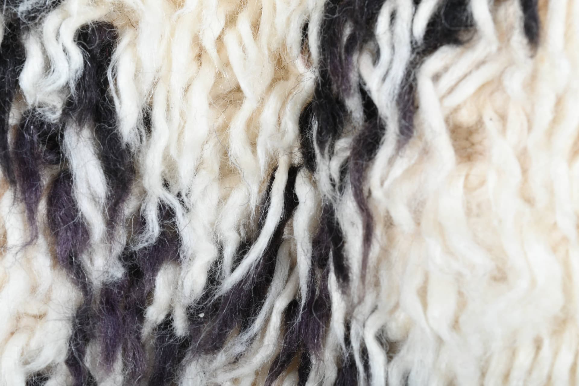 Ivory Black Open Diamond Rug