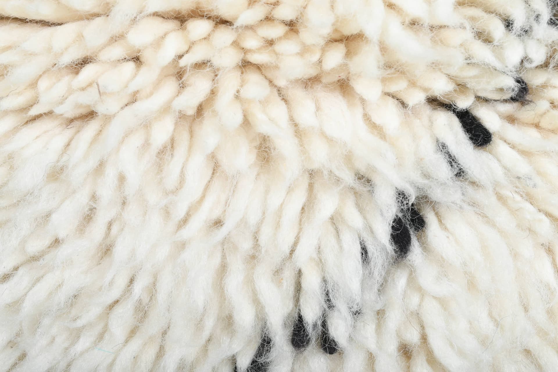 Ivory Diagonal X Beni Ourain Rug