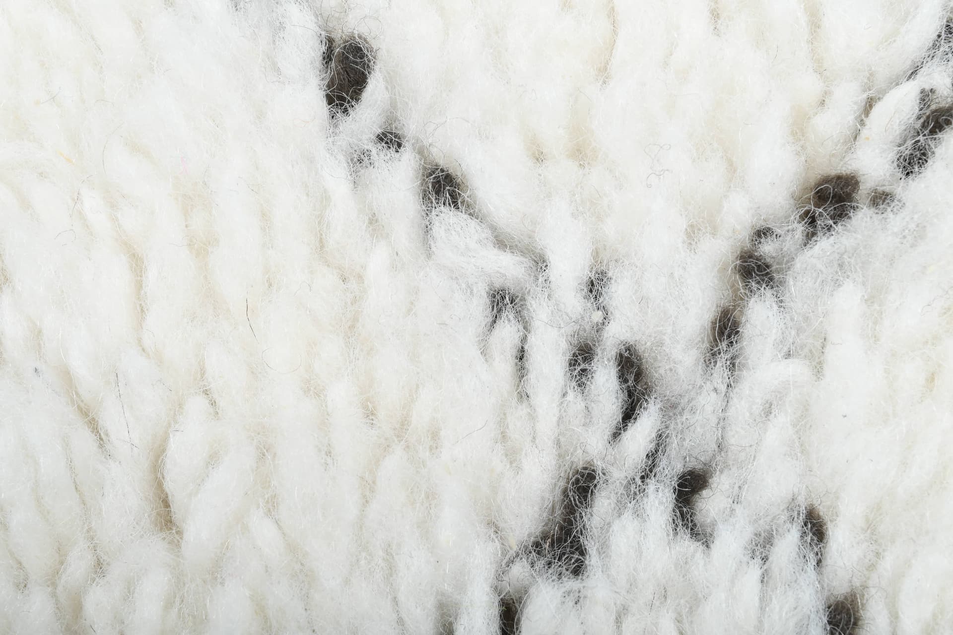 Ivory Diamond Fringe Beni Ourain Rug