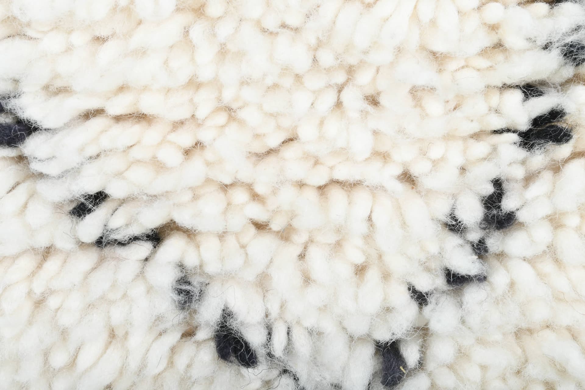 Ivory Broken Diamond Beni Ourain Rug
