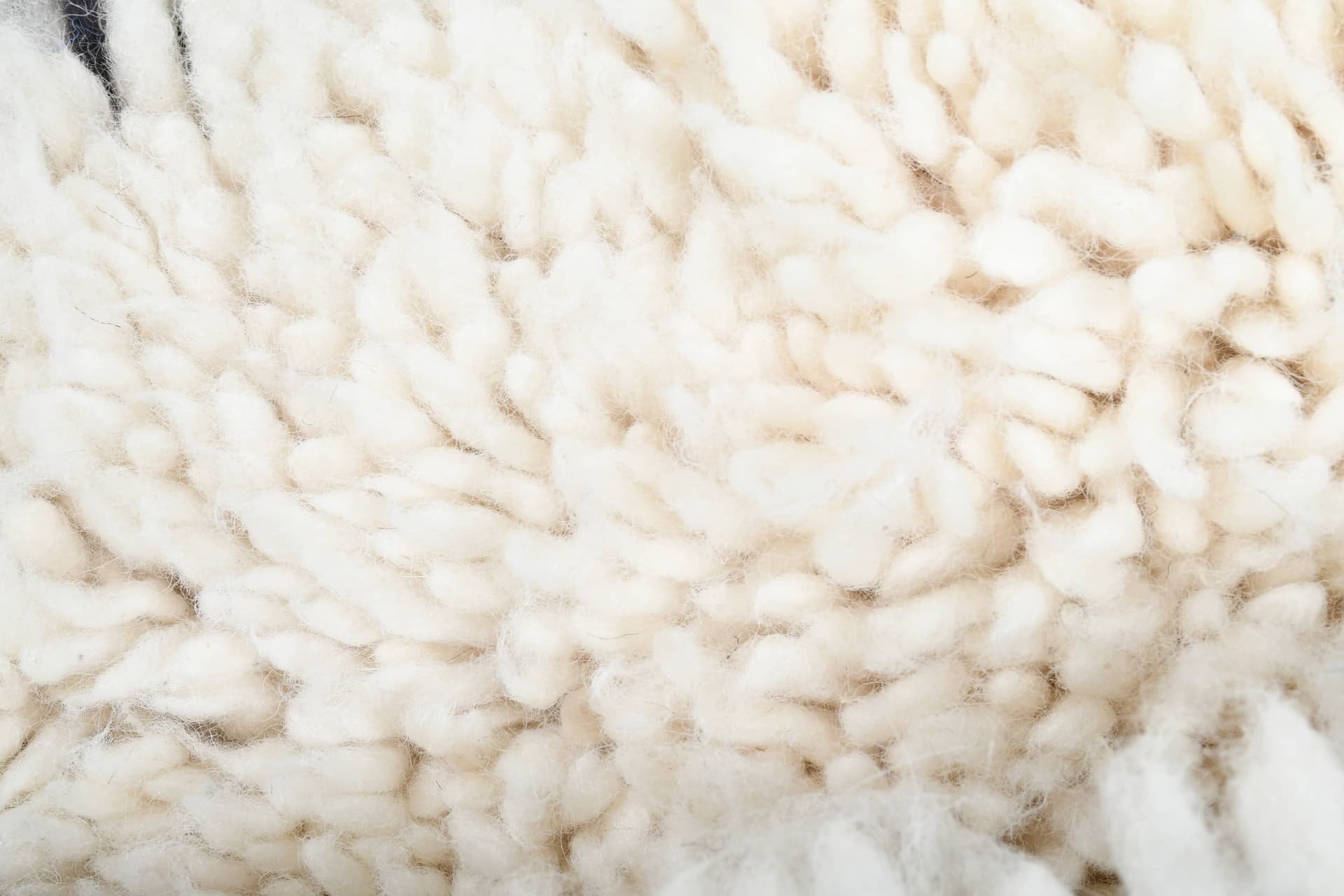 Ivory Center Diamond Beni Ourain Rug