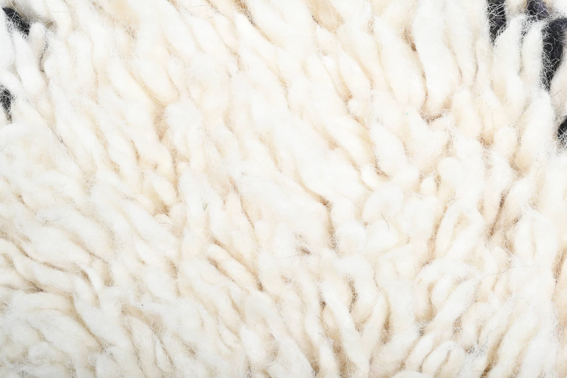 Ivory Trellis Beni Ourain Rug