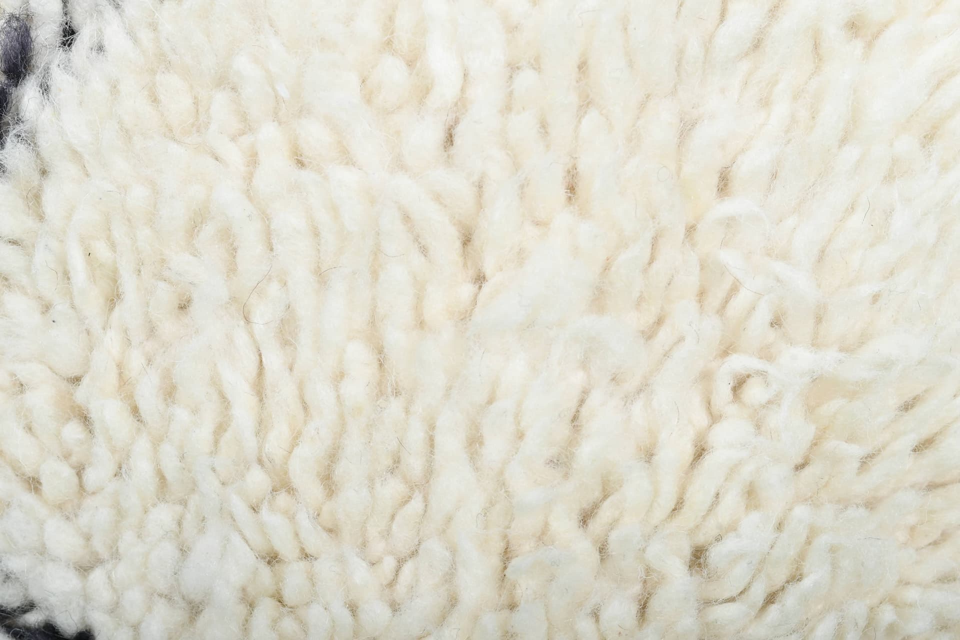 Ivory Black Trellis Beni Ourain Rug