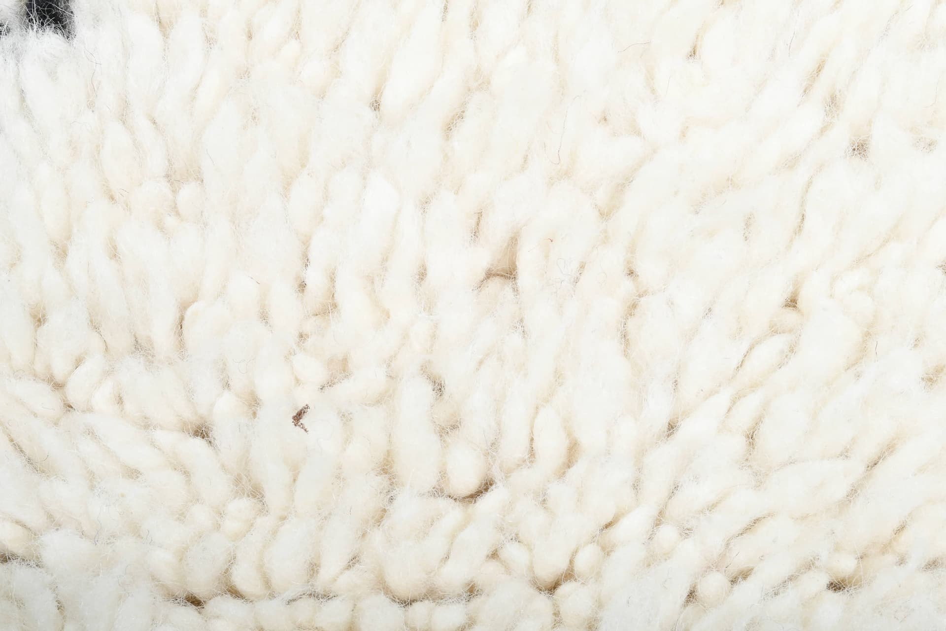 Ivory Black Crisscross Beni Ourain Rug