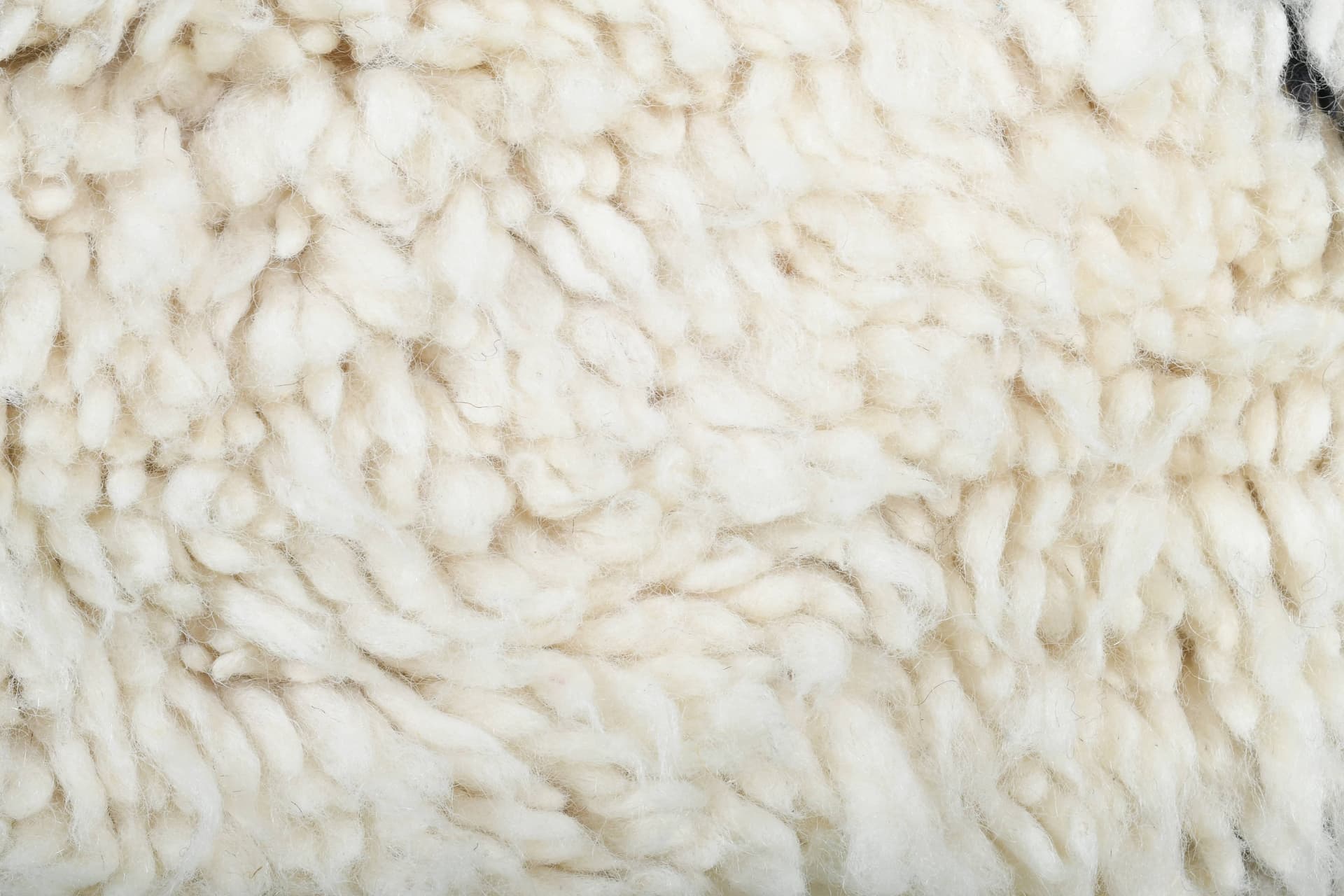 Ivory Overlapping Diamond Beni Ourain Rug