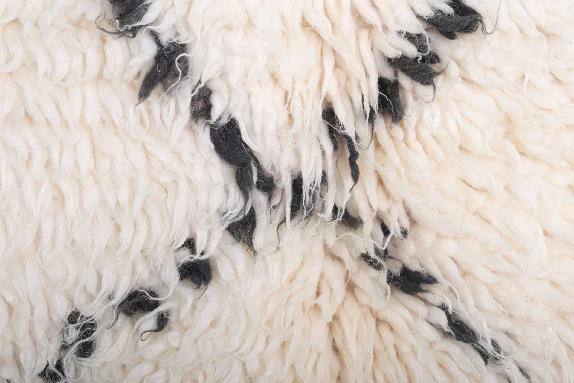 Ivory Diamond Grid Beni Ourain Rug