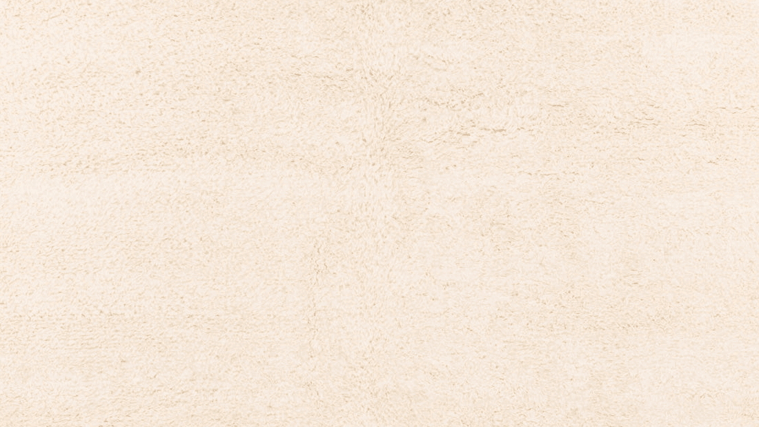 Ivory Shag Beni Ourain Rug