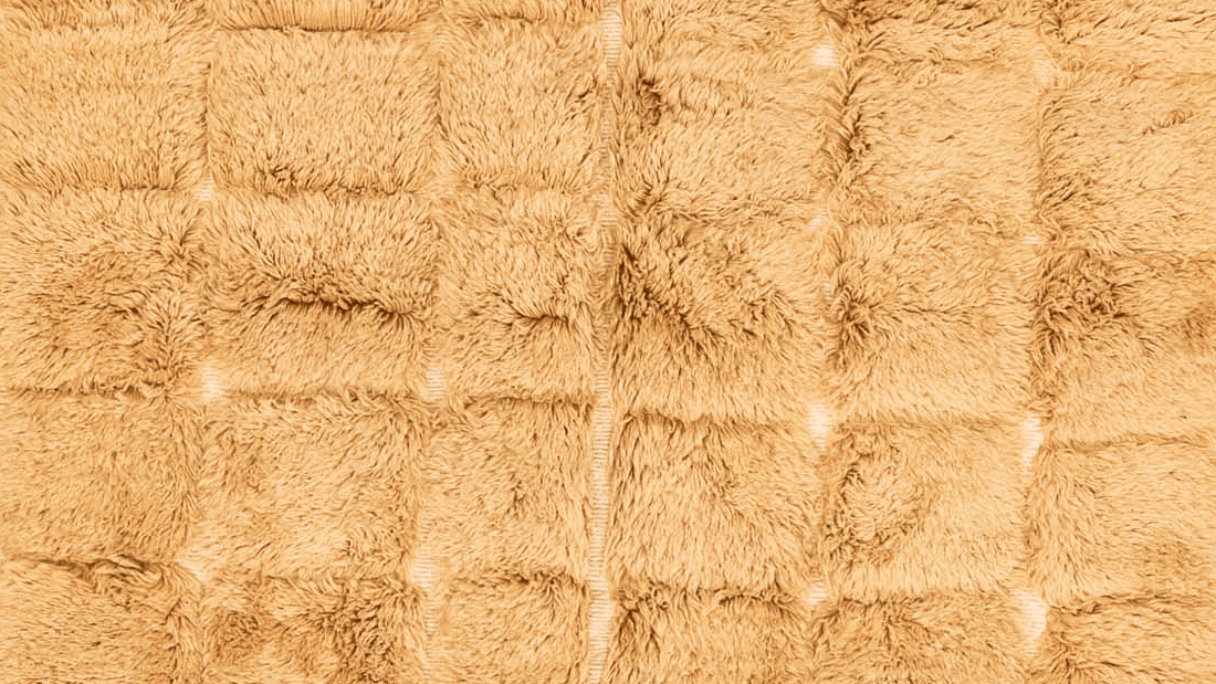 Handmade Wool Rug Beni Mrirt  Boho Living Room