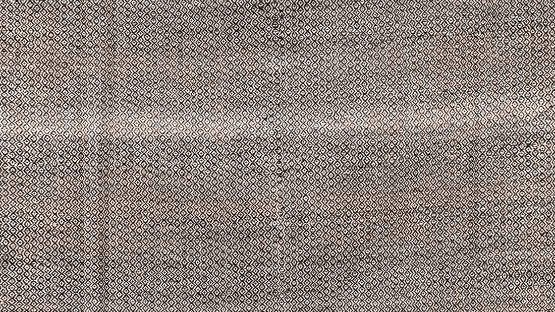 Neutral Fringed Border Kilim Taznakht Rug