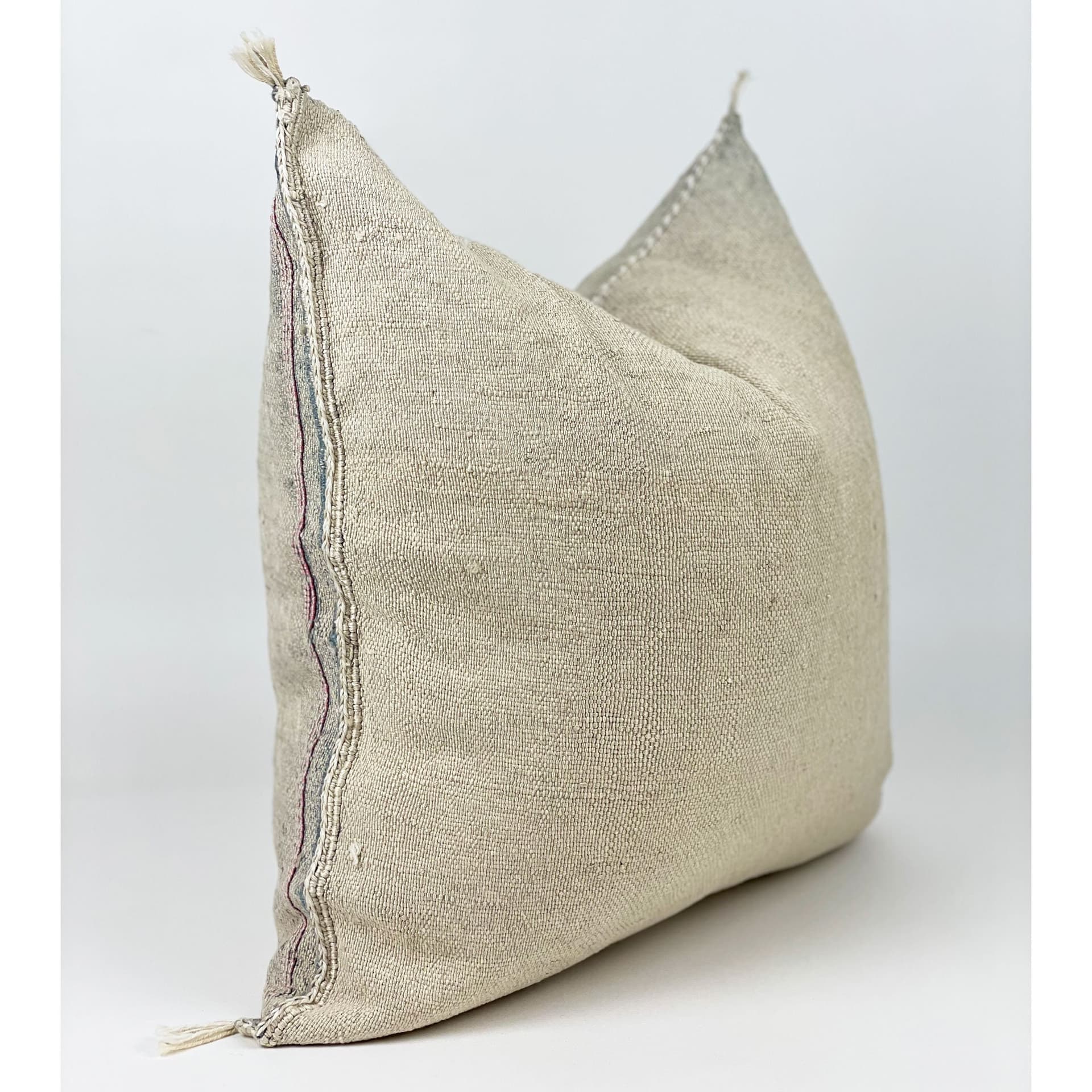 Beige Moroccan Cactus Silk Pillow ALL SIZES