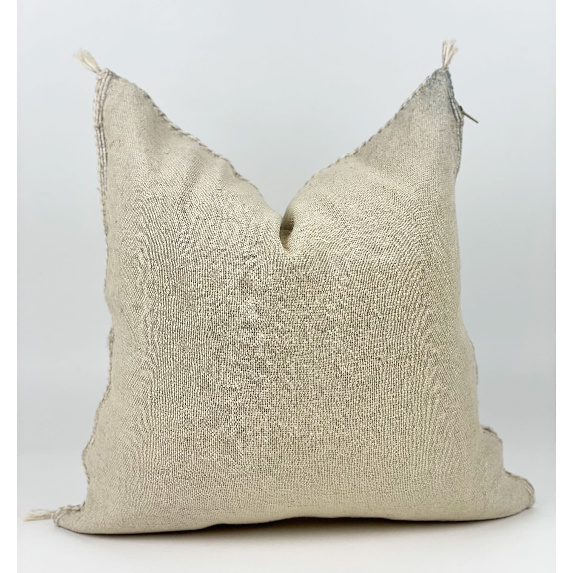 Beige Moroccan Cactus Silk Pillow ALL SIZES