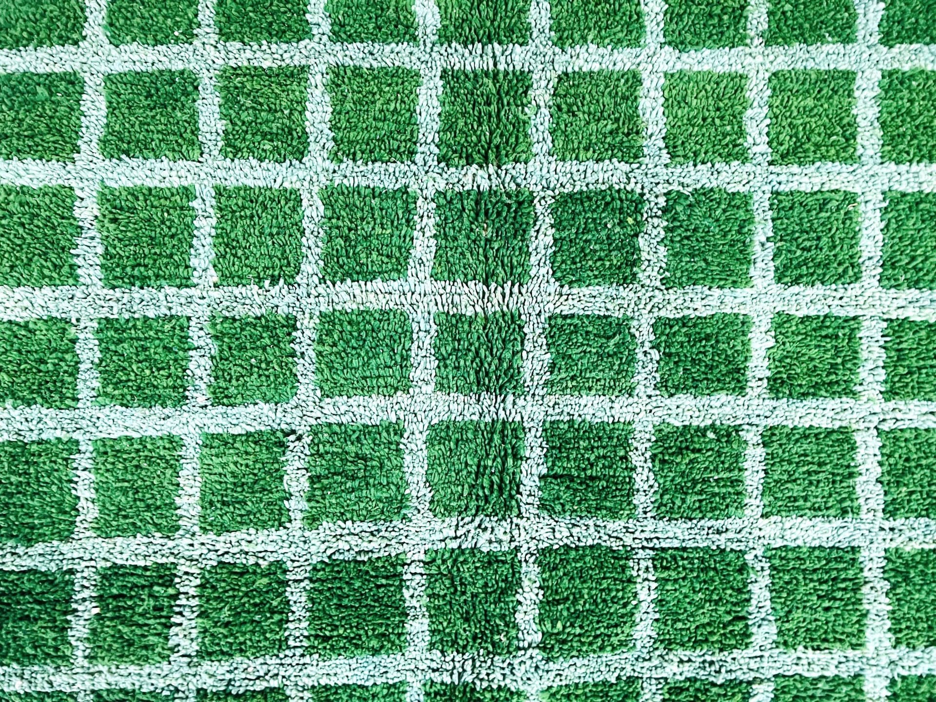 Green Fringed Grid Beni Ourain Rug