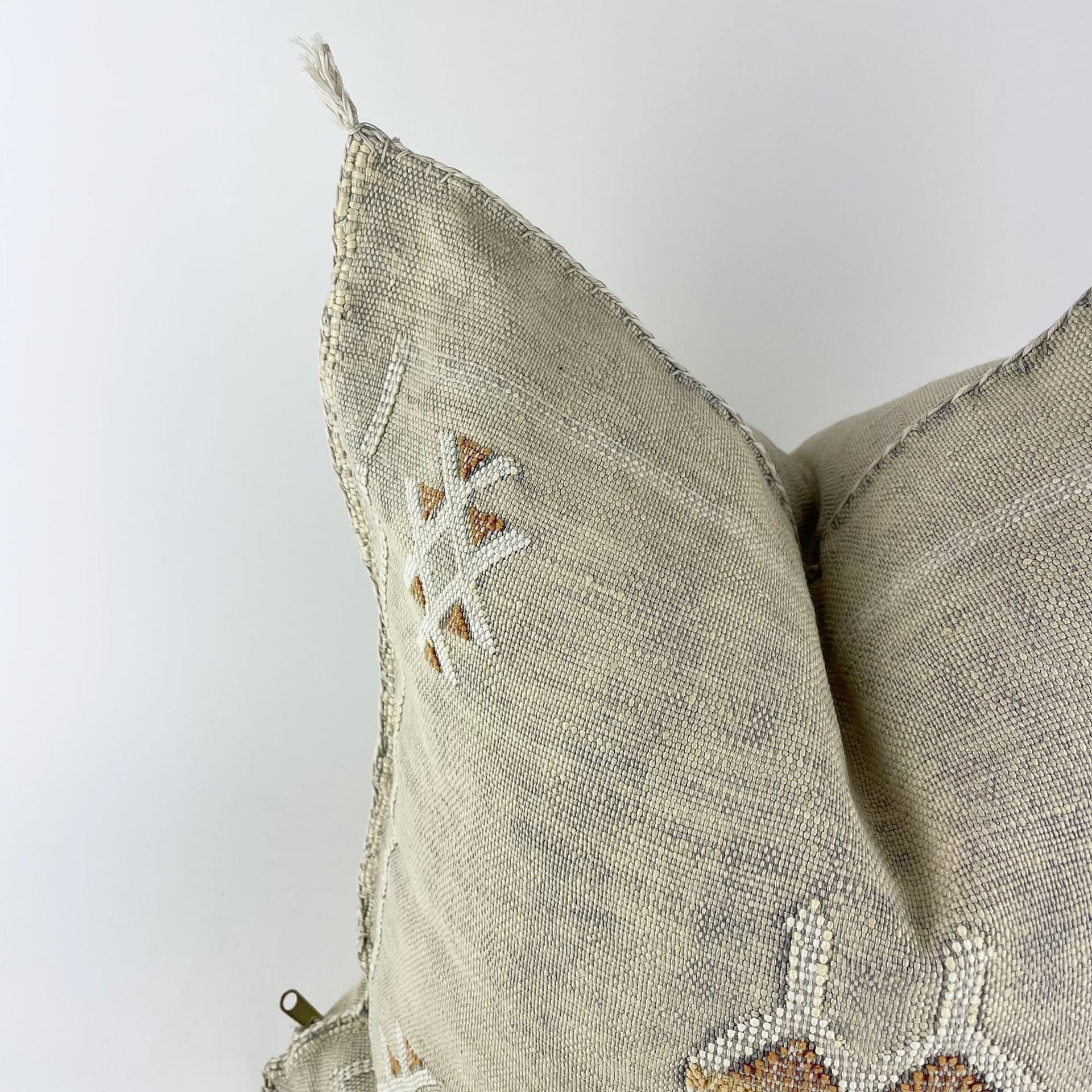 Beige Moroccan Cactus Silk Pillow ALL SIZES
