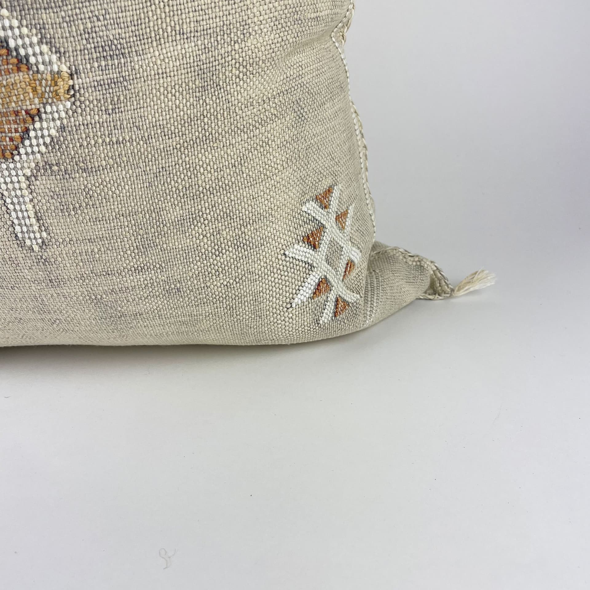 Beige Moroccan Cactus Silk Pillow ALL SIZES