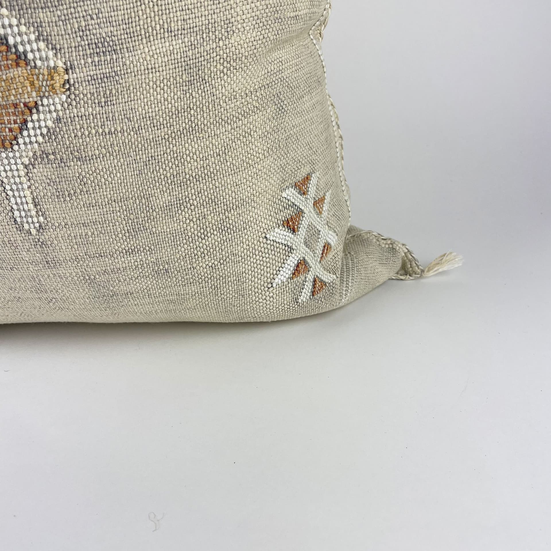 Beige Moroccan Cactus Silk Pillow ALL SIZES