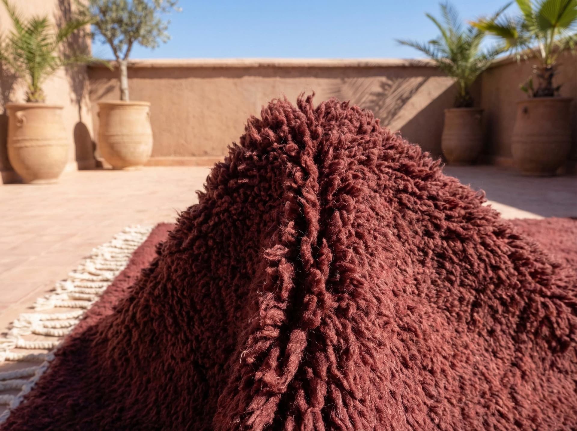 Oxblood Fringed Shag Rug