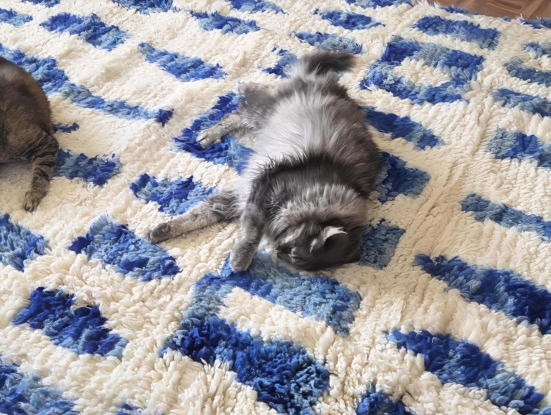 Blue Brushstroke Beni Ourain Rug
